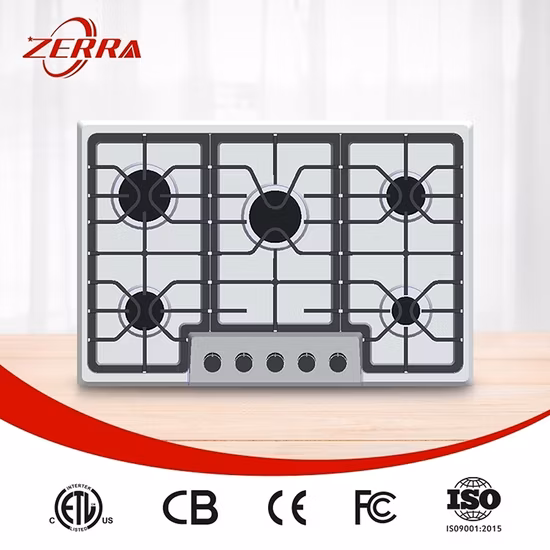 Kitchen Gas Cooktop Stove Burner Stainless Steel Built-in Hobs