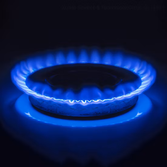 Double Burners Lotus Flame Mini Gas Cooking Stove Stainless Steel Built in Gas Hob